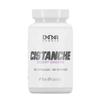Cistanche